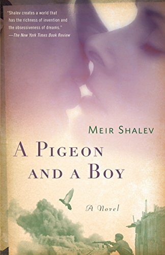 pigeon